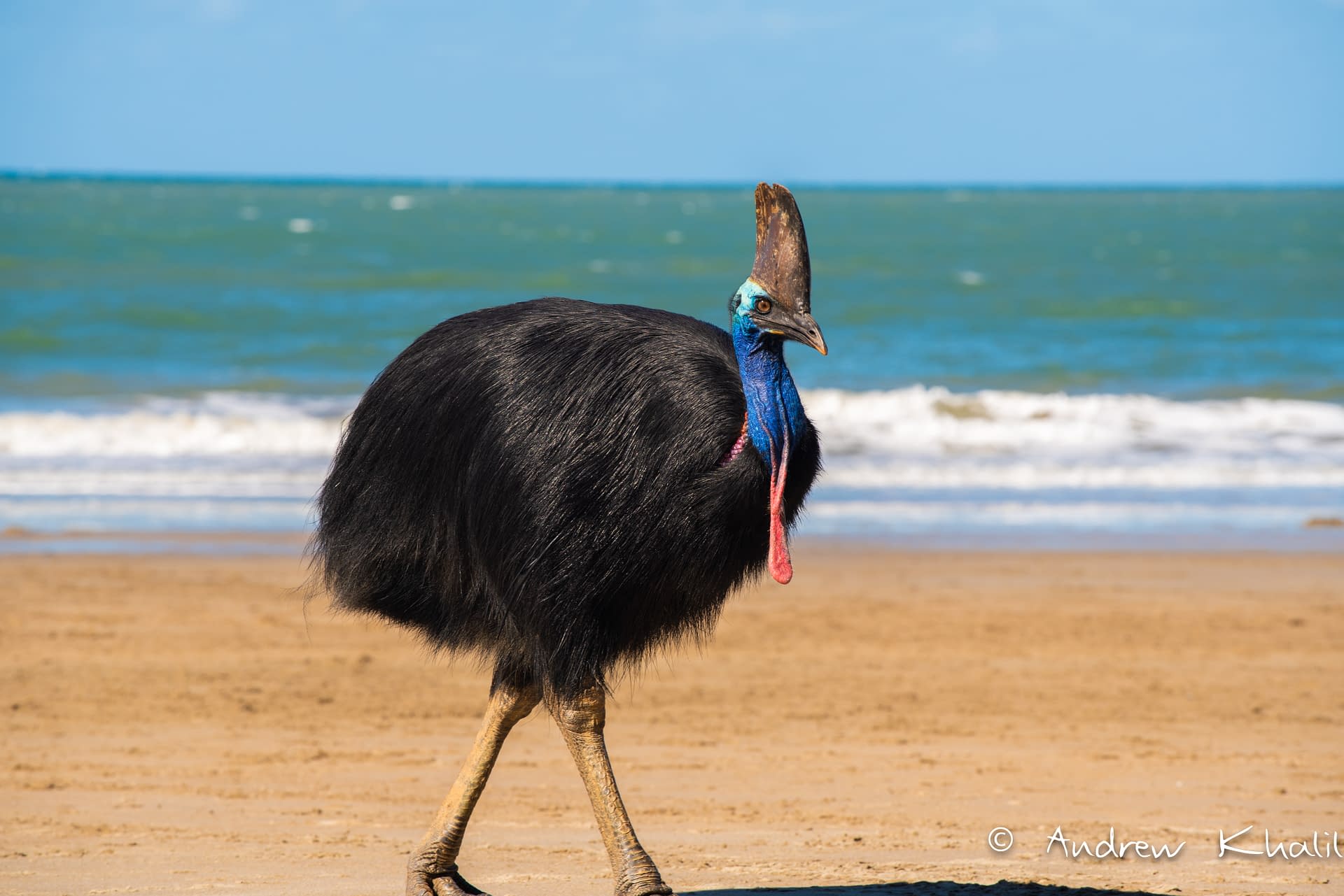 Australia